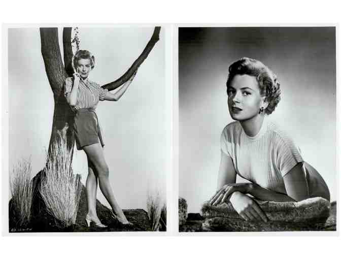 DEBORAH KERR, group of classic celebrity portraits, stills or photos