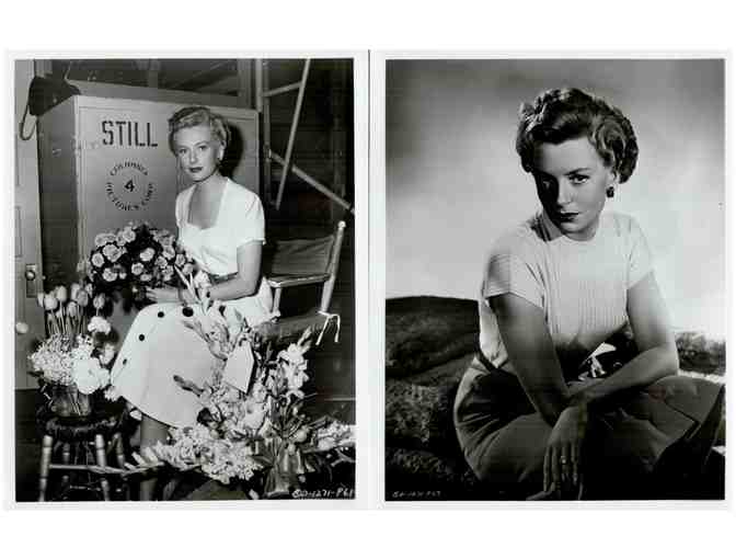 DEBORAH KERR, group of classic celebrity portraits, stills or photos