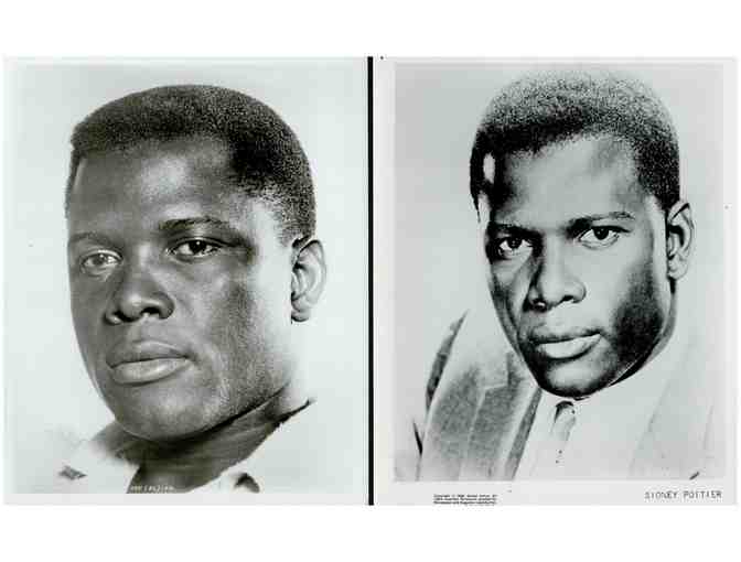 SIDNEY POITIER, group of classic celebrity portraits, stills or photos