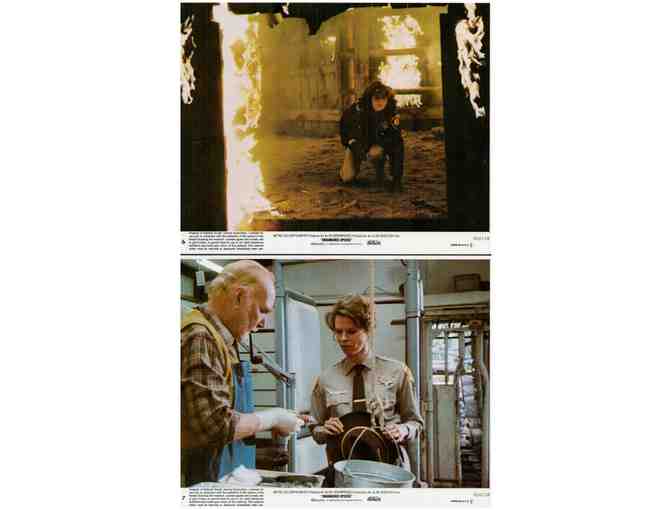 ENDANGERED SPECIES, 1982, mini lobby cards, Robert Urich, JoBeth Williams, Hoyt Axton