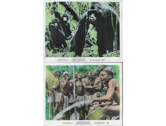 MASTERS OF THE CONGO JUNGLE, 1960, movie stills, documentary