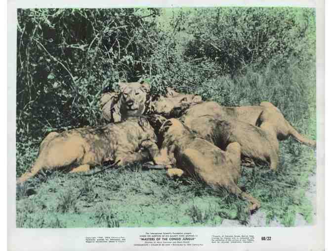 MASTERS OF THE CONGO JUNGLE, 1960, movie stills, documentary