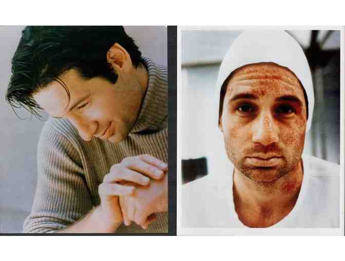 David Duchovny, COLLECTORS LOT, classic celebrity portraits, stills or photos