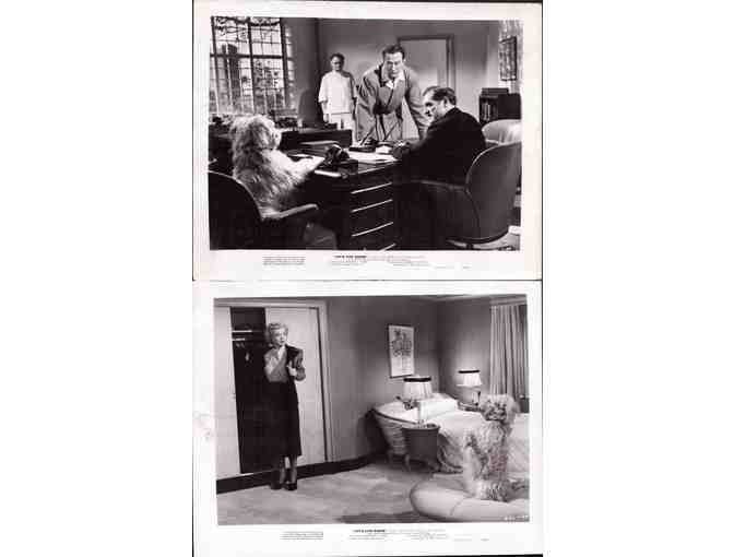 LETS LIVE AGAIN, 1948, movie stills, COLLECTORS LOT, John Emery, Hillary Brooke