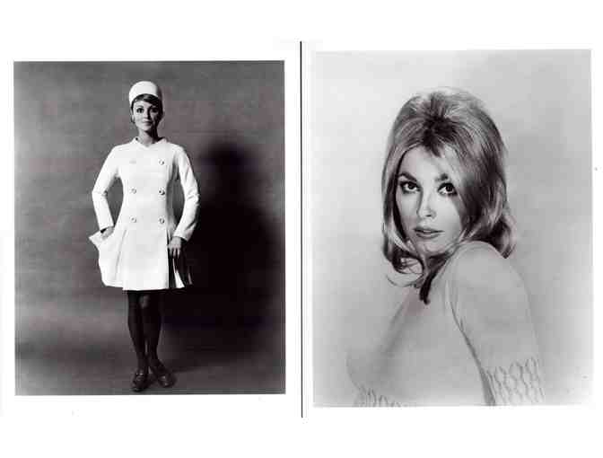 SHARON TATE, group of classic celebrity portraits, stills or photos