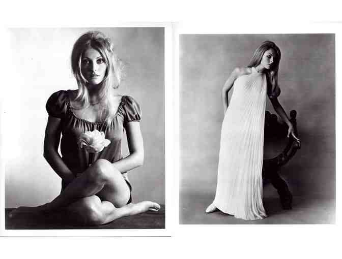 SHARON TATE, group of classic celebrity portraits, stills or photos