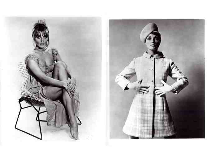 SHARON TATE, group of classic celebrity portraits, stills or photos