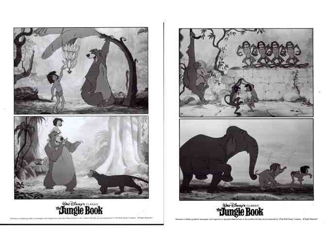 JUNGLE BOOK, 1967, movie stills, Walt Disney cartoon