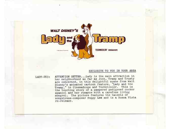 LADY AND THE TRAMP, 1955, cards and stills, Walt Disney cartoon