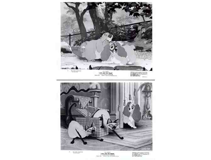 LADY AND THE TRAMP, 1955, cards and stills, Walt Disney cartoon