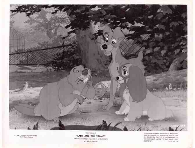 LADY AND THE TRAMP, 1955, cards and stills, Walt Disney cartoon