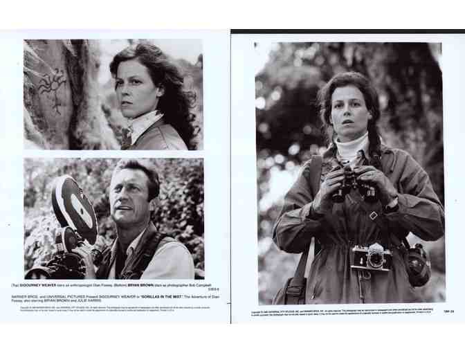 GORILLAS IN THE MIST, 1988, COLLECTORS LOT, movie stills, Sigourney Weaver