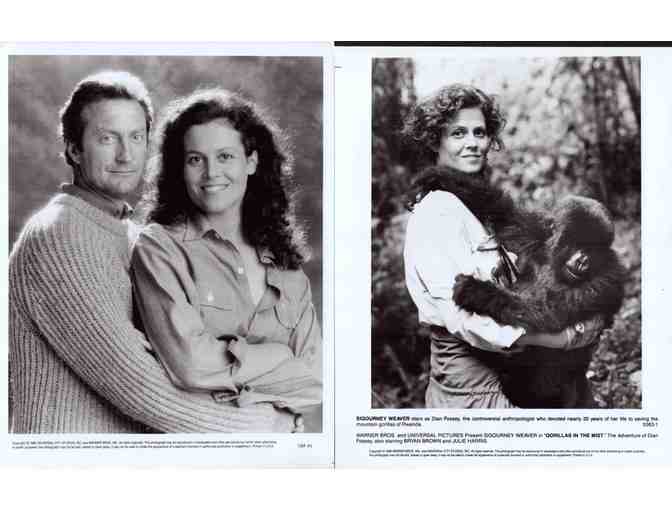 GORILLAS IN THE MIST, 1988, COLLECTORS LOT, movie stills, Sigourney Weaver