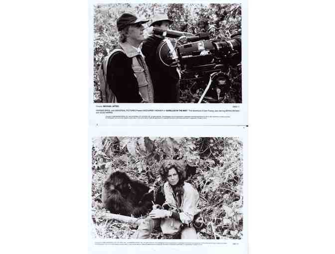 GORILLAS IN THE MIST, 1988, COLLECTORS LOT, movie stills, Sigourney Weaver