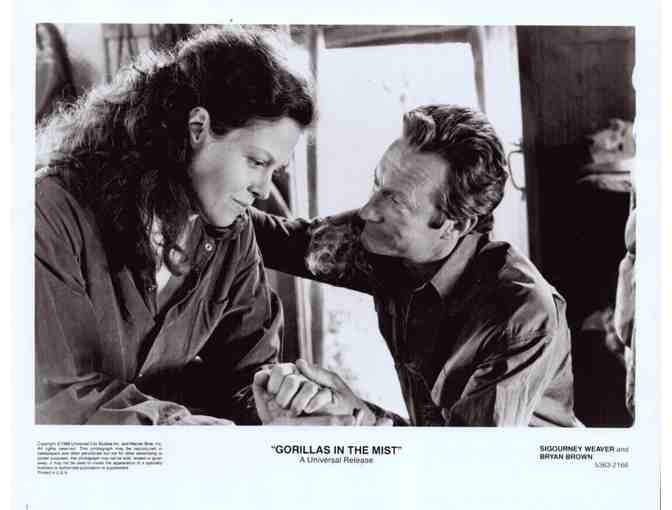 GORILLAS IN THE MIST, 1988, COLLECTORS LOT, movie stills, Sigourney Weaver