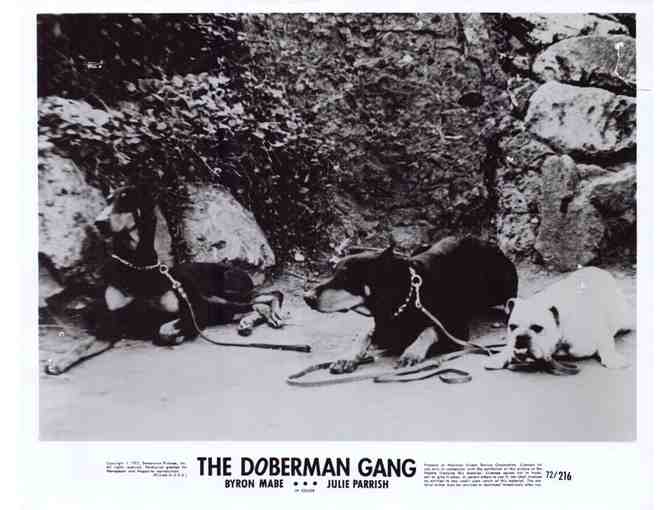 DOBERMAN GANG, 1972, movie stills, Julie Parrish, Byron Mabe