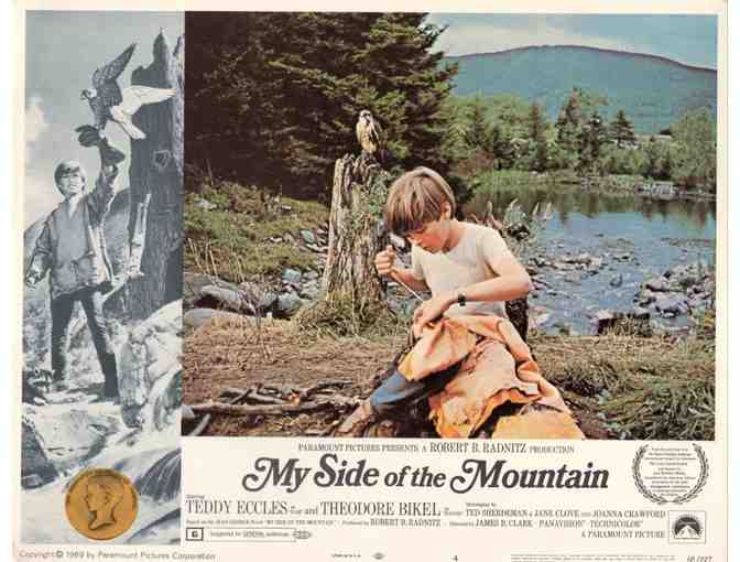 MY SIDE OF THE MOUNTAIN, 1968, lobby card set, Ted Eccles, Theodore Bikel