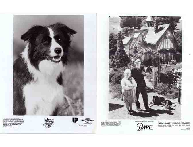 BABE, 1995, movie stills, animal comedy