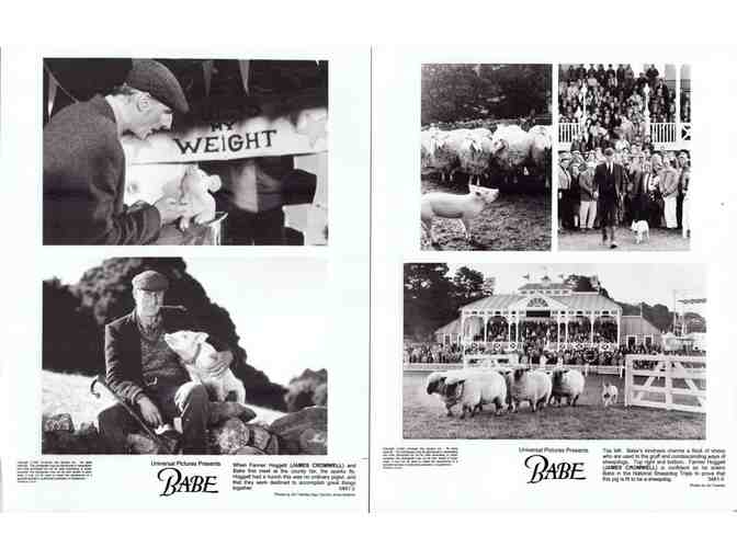 BABE, 1995, movie stills, animal comedy