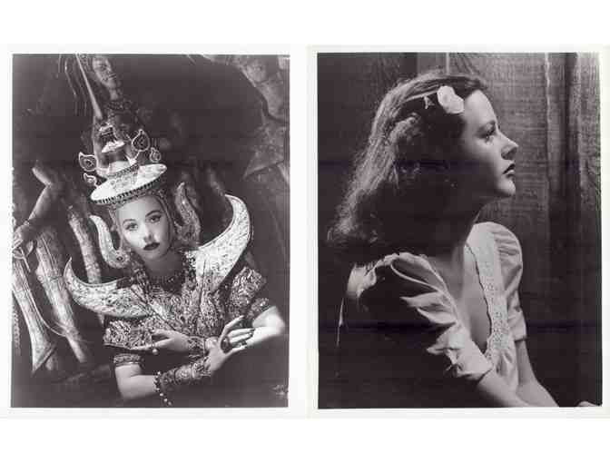 HEDY LAMARR, group of classic celebrity portraits, stills or photos