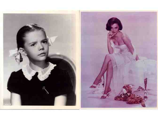 NATALIE WOOD, group of classic celebrity portraits, stills or photos