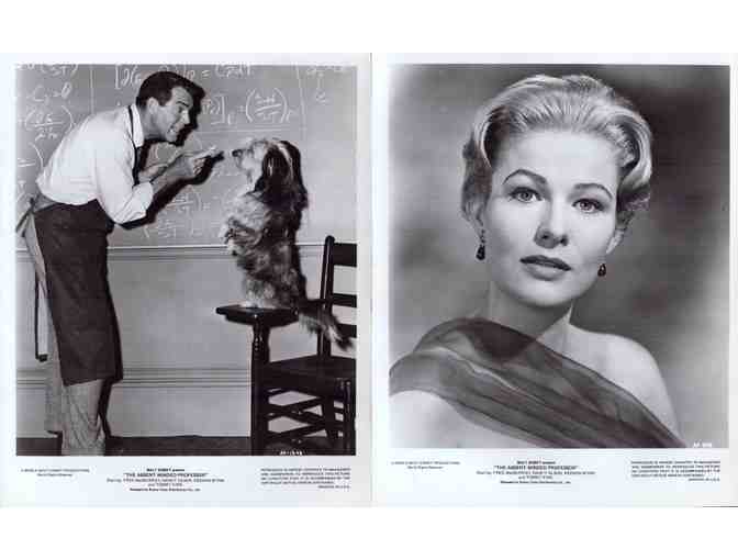 ABSENT MINDED PROFESSOR, 1961, movie stills, COLLECTORS LOT, Fred MacMurray