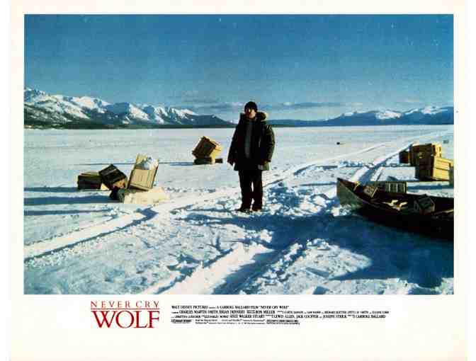 LOBBY CARDS MISC LOT 21 TWELVE DIFFERENT TITLES 1950s to 1990s