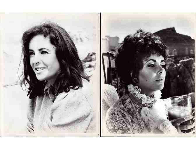 ELIZABETH TAYLOR, COLLECTORS LOT of portraits, stills or photos