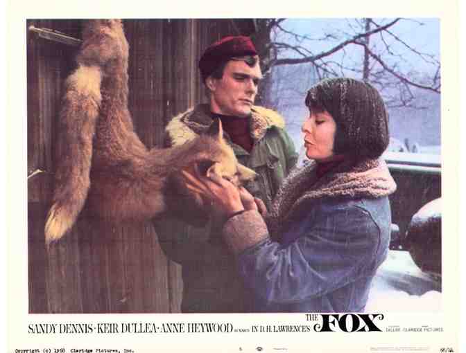 FOX, 1968, lobby cards, Sandy Dennis, Keir Dullea