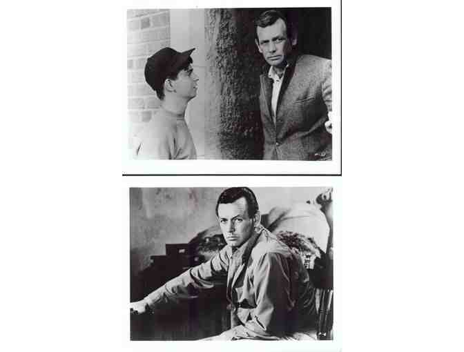 FUGITIVE, tv, COLLECTORS LOT, photographs, David Janssen, William Conrad