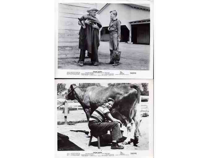 RACING BLOOD, 1954, movie stills, Bill Williams, Frankie Darro