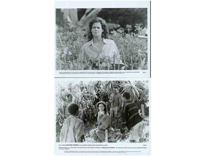 GORILLAS IN THE MIST, 1988, movie stills, Sigourney Weaver, Bryan Brown