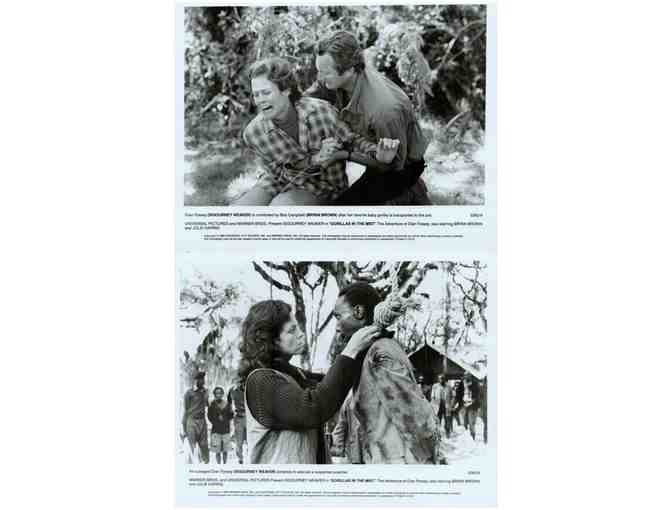 GORILLAS IN THE MIST, 1988, movie stills, Sigourney Weaver, Bryan Brown