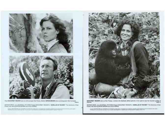 GORILLAS IN THE MIST, 1988, movie stills, Sigourney Weaver, Bryan Brown