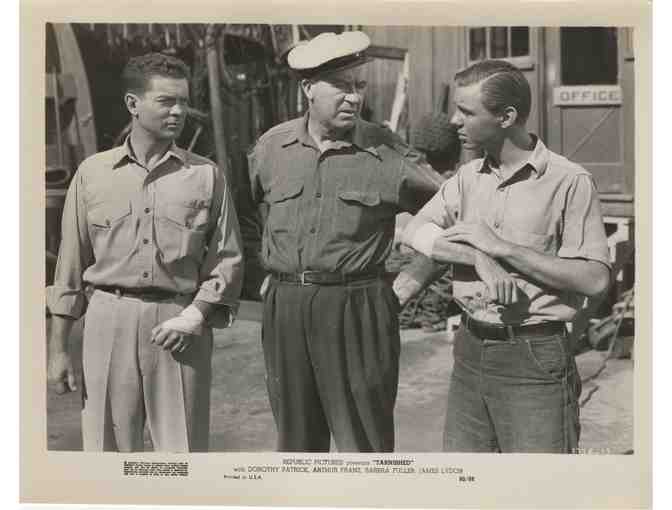 TARNISHED, 1950, movie stills, Patrick, Franz, Fuller, Young, Lydon