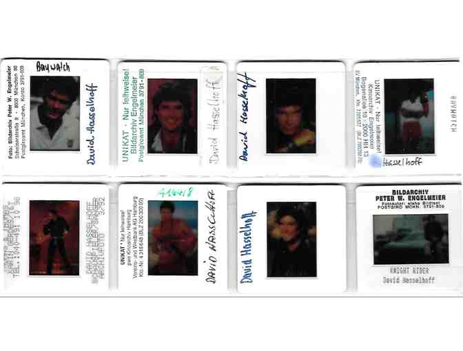 DAVID HASSELHOFF, celebrity photographs on color slides