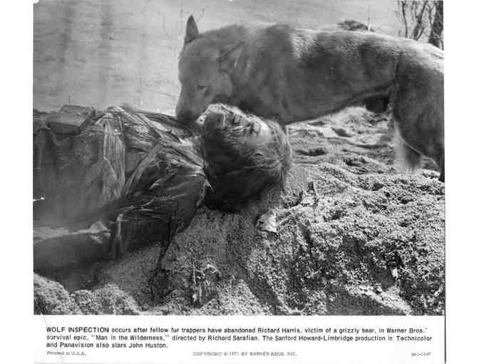 MAN IN THE WILDERNESS, 1971, movie stills, Richard Harris