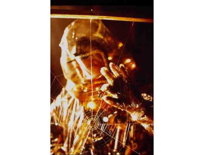 12 MONKEYS, 1995, color slides, Bruce Willis, Brad Pitt