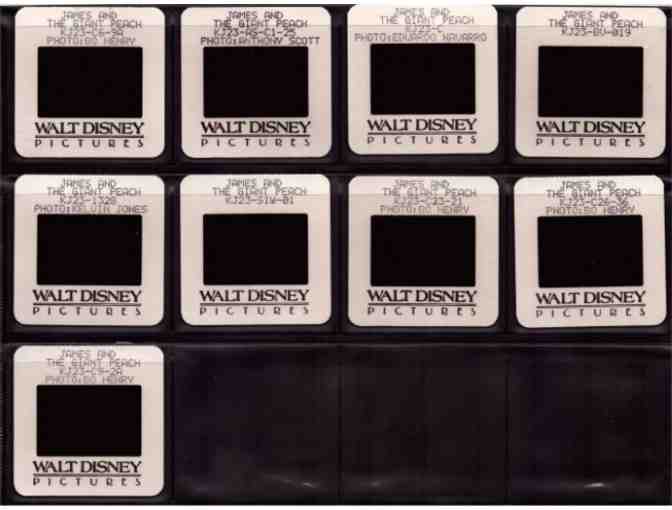 JAMES AND THE GIANT PEACH, 1996, color slides, Disney animation