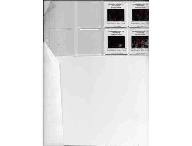 KULL THE CONQUEROR, 1997, color slides, Kevin Sorbo, Tia Carrere