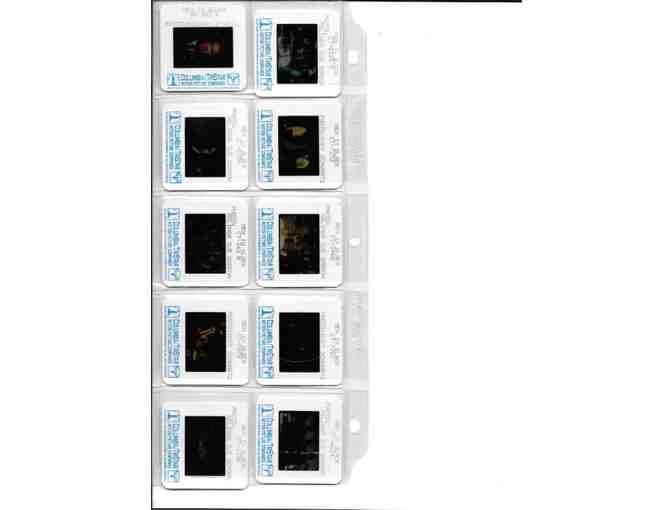 MEN IN BLACK, 1997, color slides, Will Smith, Tommy Lee Jones