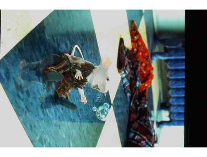 STUART LITTLE, 1999, color slides, Michael J. Fox, Nathan Lane