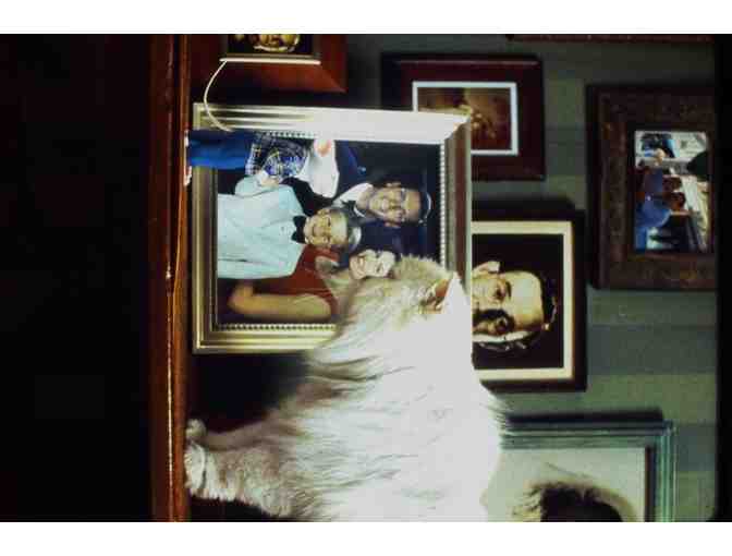 STUART LITTLE, 1999, color slides, Michael J. Fox, Nathan Lane