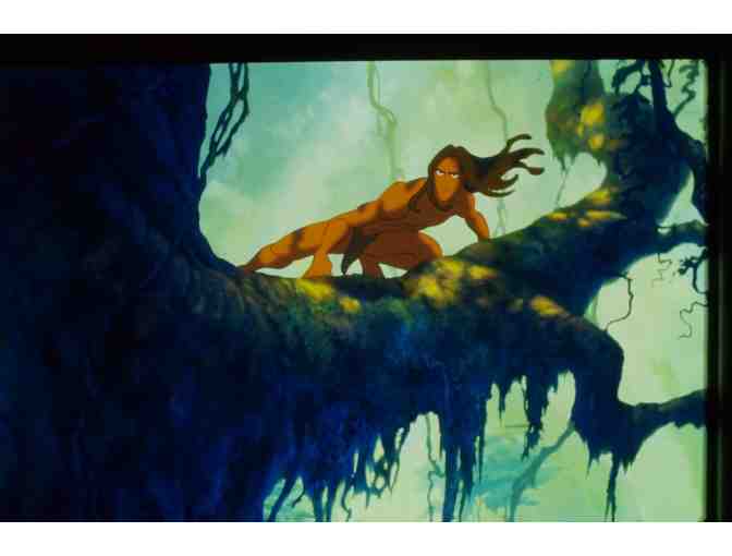 TARZAN, 1999, color slides, Walt Disney animation