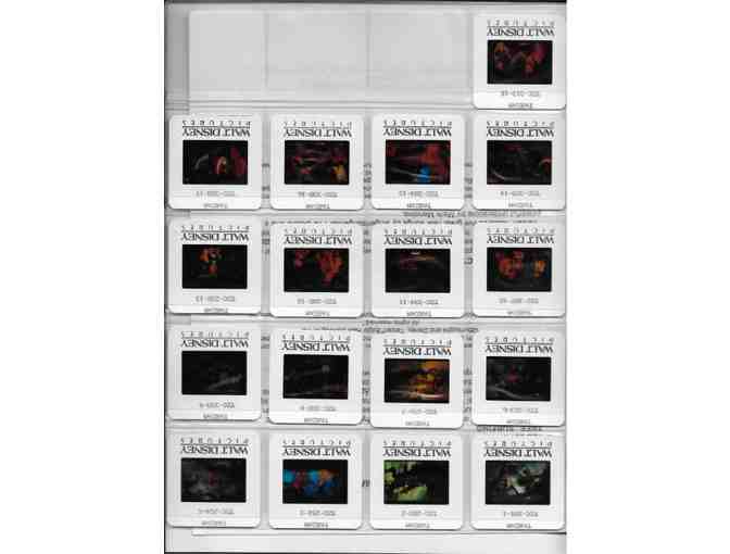 TARZAN, 1999, color slides, Walt Disney animation