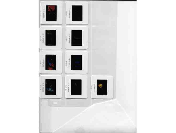 TITAN A.E., 2000, color slides, Don Bluth animation