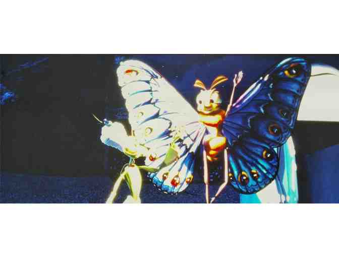 BUGS LIFE, 1998, color slides, Disney/Pixar animation