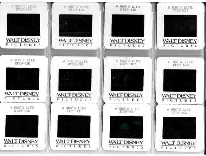 BUGS LIFE, 1998, color slides, Disney/Pixar animation
