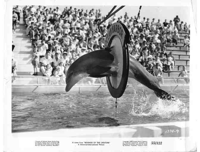 REVENGE OF THE CREATURE, 1955, movie stills, John Agar, Clint Eastwood