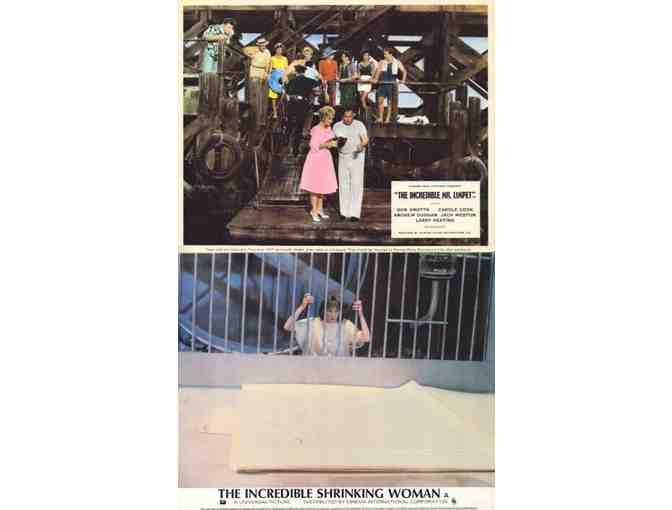 FANTASY STILLS LOT 3 - Valley of the Giants, Captain Sinbad, Xena Warrior Princess